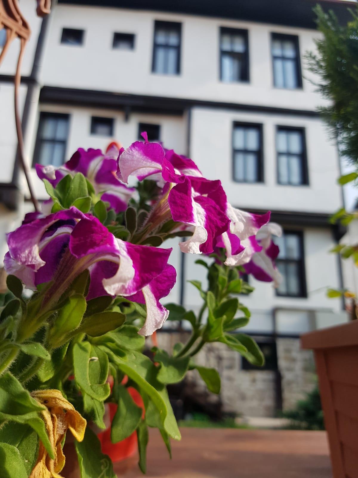 Kadioglu Konagi Hotel Кастамону Екстериор снимка